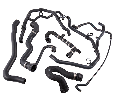 রাবার পায়ের পাতার মোজাবিশেষ   